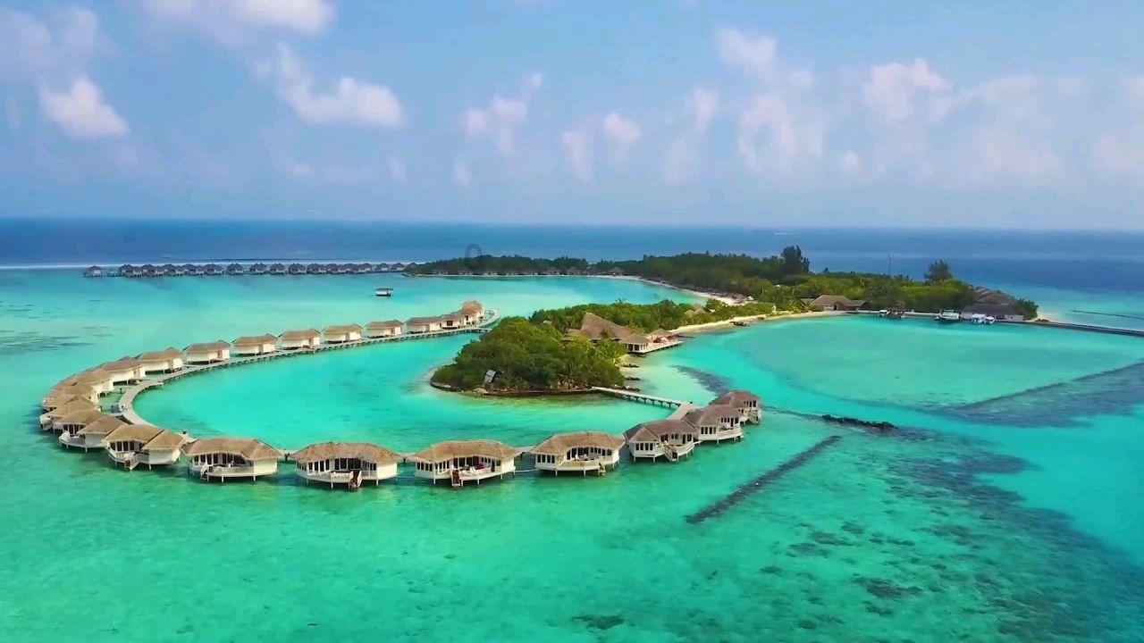 早上起床，是先刷牙再吃早餐，还是先吃早餐再刷牙比较卫生？游戏画面